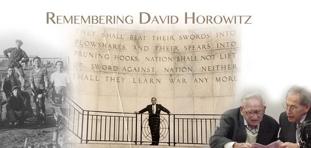 Remembering D. Horowitz
