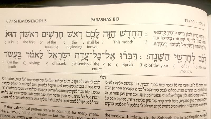 The First Month, Aviv/Nissan The Month of our Redemption, New Beginnings